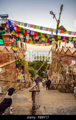 People coming to the Swayambhunath temple  early in the morning in Kathmandu, Nepal Stock Photo