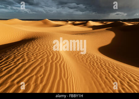 Sahara sand dunes with stormy, cloudy sky, Morocco. Stock Photo