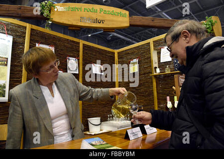 Central Europe's largest presentation of the tourism industry  with emphasis on regions is again take place at the Brno Exhibition Centre, Czech Republic.  GO and REGIONTOUR fairs start on Thursday,  January 14, 2016. (CTK Photo/Vaclav Salek) Stock Photo