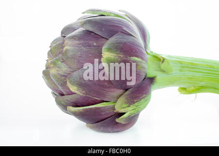 Romanesco artichoke Stock Photo