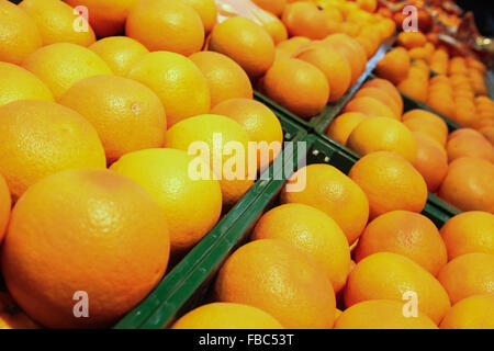 Crates with fresh orange grapefruits at market Stock Photo