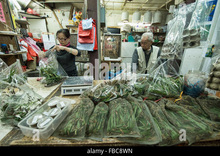 Grasshoppers for sale at the Yuen Po Bird Garden Market in Mongkok, Hong Kong Stock Photo