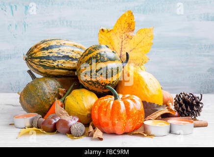 Variety of Autumn Pumpkins Assortment on Painted Wood Stock Photo