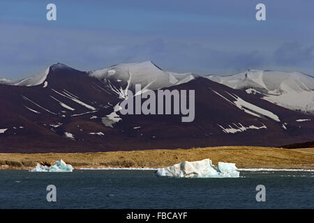 Melting icebergs drifting in Burgerbukta, bay in the north of Hornsund fjord, Svalbard, Spitsbergen, Norway Stock Photo