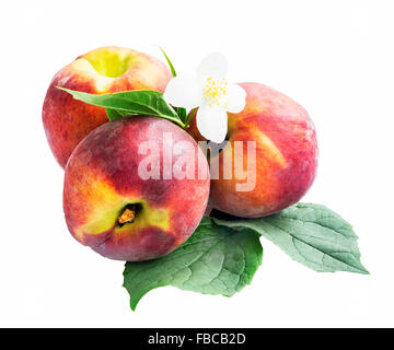Peaches Fruits with Leaves Isolated on White Background Stock Photo
