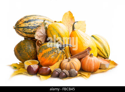Variety of Autumn Pumpkins Assortment Isolated on White Stock Photo