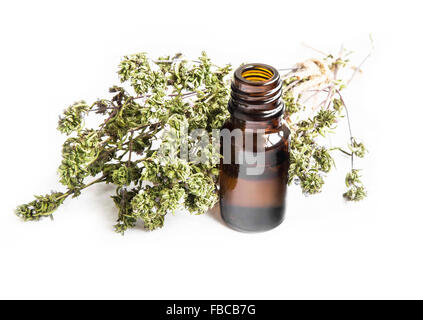 Thyme Essential Oil Bottle with Thyme Bunch Isolated on White Background Stock Photo