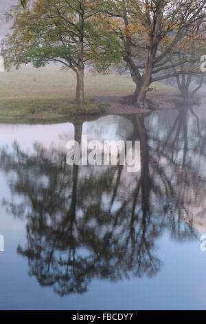 Early morning autumn mist and tree reflections in the river Dee by the Horseshoe Falls in Llangollen Wales
