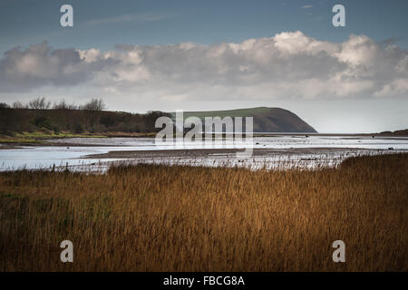 Newport Estuary in Pembrokeshire, View from Iron Bridge towards Sea. Stock Photo