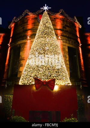 Christmas Tree on the Rose Street side of the Dome restaurant in Edinburgh. Stock Photo