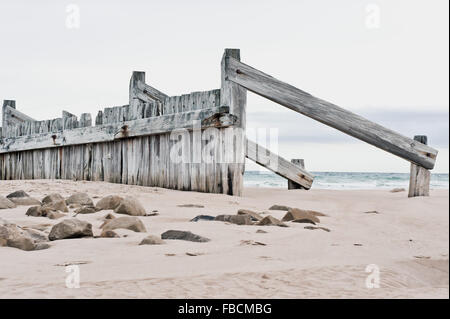 A breakwater formed of wooden panels on a beach in Scotland Stock Photo