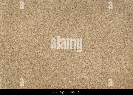 Golden background based on natural tin-plate texture Stock Photo