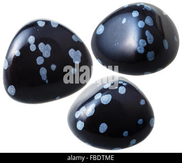 natural mineral gem stone - three snowflake obsidian gemstones isolated on white background close up Stock Photo