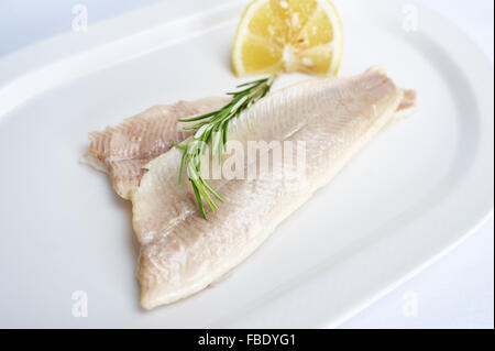 Trout fillet on white plate studio shot Stock Photo