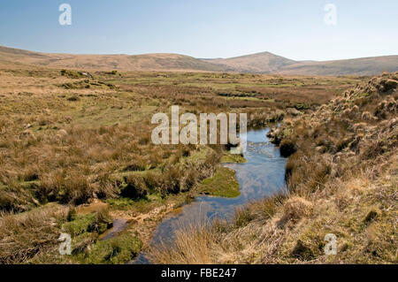 The upper reaches of the River Taw near Belstone Stock Photo