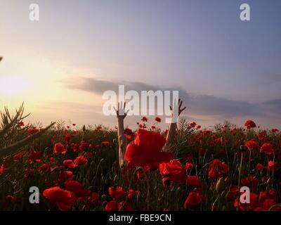 Raised Arms Of Person In Red Poppy Flower Field Against Sky