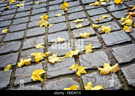 Autumn leaves on pebble stones Stock Photo