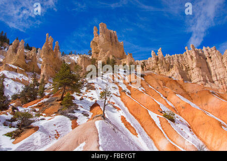 Winter in Bryce Canyon Stock Photo