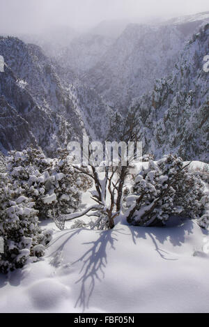 Winter views in Black Canyon of the Gunnison Stock Photo