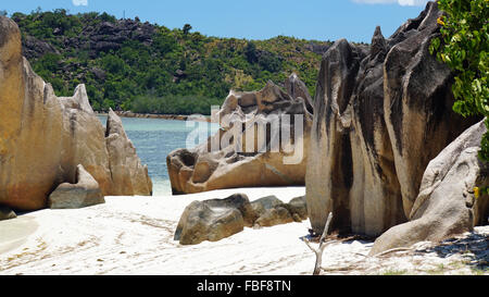 tropical beach on curieuse island Stock Photo