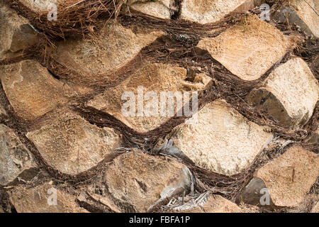 Old stone roadway. Close up. Stock Photo