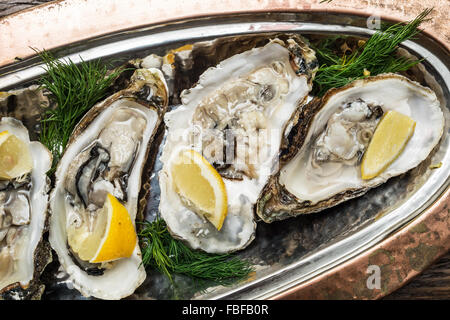 Opened oysters with piece of lemon on the cooper tray. Stock Photo