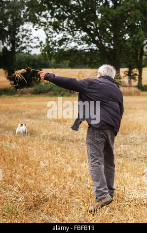 Grey haired mIddle aged man throwing a handful of straw in a field with small dog and trees Stock Photo