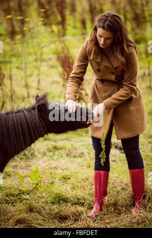 Woman feeding horse a carrot Stock Photo