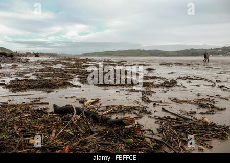 Detritus washed up on Llansteffan Beach after high tide following unseasonable wet winter. Carmarthenshire. South Wales. UK. Stock Photo