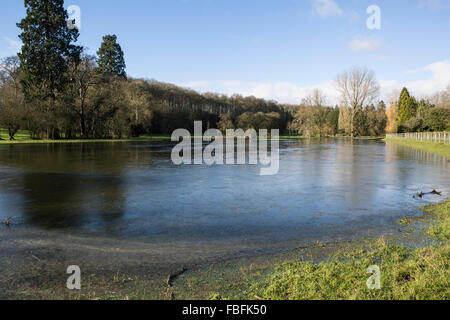 Frozen Flood Water, The river Coln in Quenington, Gloucestershire, England has flooded into the adjacent field Stock Photo