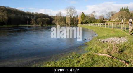 Frozen Flood Water, The river Coln in Quenington, Gloucestershire, England has flooded into the adjacent field Stock Photo