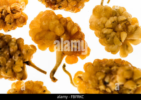 Mulberry getrocknetsüß, snack, natural, sweet as honey, a natural product, lifestyle Modern Food dried fruit, berries Stock Photo