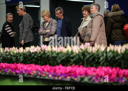 Berlin, Germany. 15th Jan, 2016. Visitors view flowers during the 2016 International Green Week Berlin agriculture fair in Berlin, capital of Germany, on Jan. 15, 2016. A total of 1660 exhibitors from 65 countries and regions participate in the 2016 International Green Week Berlin agriculture fair, which is expected to attract more than 400,000 visitors. © Zhang Fan/Xinhua/Alamy Live News Stock Photo