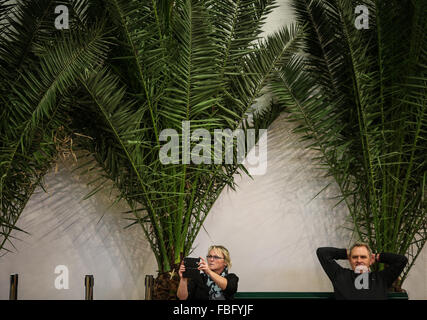 Berlin, Germany. 15th Jan, 2016. Visitors rest during the 2016 International Green Week Berlin agriculture fair in Berlin, capital of Germany, on Jan. 15, 2016. A total of 1660 exhibitors from 65 countries and regions participate in the 2016 International Green Week Berlin agriculture fair, which is expected to attract more than 400,000 visitors. © Zhang Fan/Xinhua/Alamy Live News Stock Photo