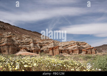Antelope Valley Poppy Reserve in California, photo taken in spring time. Stock Photo