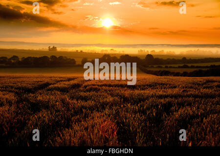 Sunset over open countryside with mist rising in the distance over the River Tweed Stock Photo