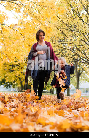 Beautiful pregnant woman walking through the trees in autumn with a cute blonde haired girl, daughter. Orange and yellow leaves Stock Photo