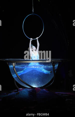 London, UK. 15th Jan, 2016. 15th January 2016 - Cirque Du Soleil show Amaluna at Royal Albert Hall, London, UK. Credit:  Stephen Berkeley-White/Alamy Live News Stock Photo