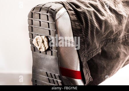 Chewing gum on the shoe, kicked in, crap, damn, annoying nuisance, waste rubber, stick, stick, studio production. shoe, gum, Stock Photo