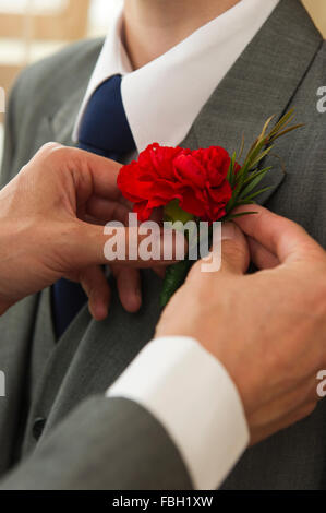 Best Man adjusts the Groom's buttonhole on the wedding day. Stock Photo