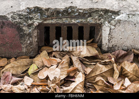 Old metal grate with dry leave of footpath in the park. Stock Photo