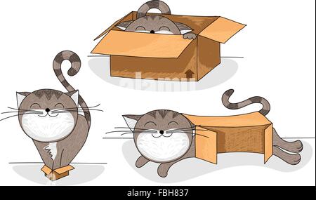 Cute and funny cartoon cat in different sized cardboard boxes Stock Vector