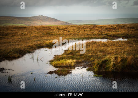 Preseli Mountains in Pembrokeshire Wales, U.K.  View over moor and wetlands towards Carn Ingli known as 'hill of angels'. Stock Photo