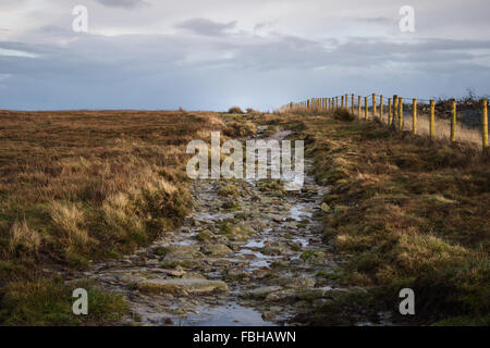 The Golden Road Preseli Mountains Pembrokeshire U.K. Stock Photo