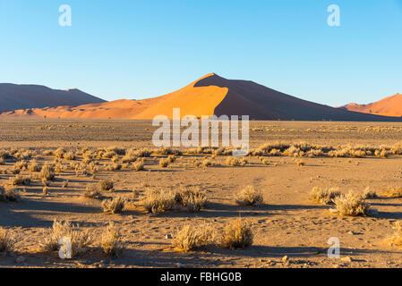 Sand dunes, Sossusvlei, Namib Desert, Namib-Naukluft Park, Hardap Region, Republic of Namibia Stock Photo