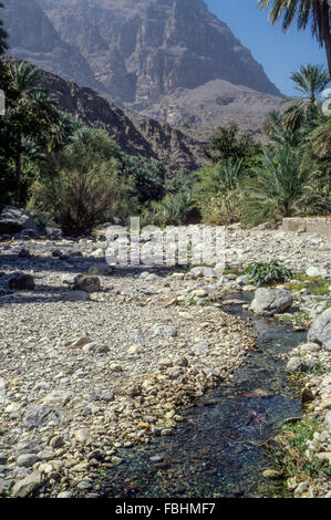 Wadi Bani Kharus, Oman.  Water Flowing in the Wadi. Stock Photo