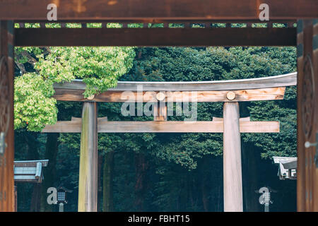 Meiji Shrine park in Tokyo Stock Photo