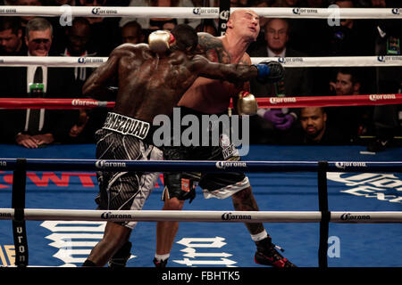 Brooklyn, New York, USA. 17th Jan, 2016. DEONTAY WILDER (silver trunks) and ARTUR SZPILKA battle in an WBC heavyweight title bout at the Barclays Center in Brooklyn, New York. Credit:  Joel Plummer/ZUMA Wire/Alamy Live News Stock Photo