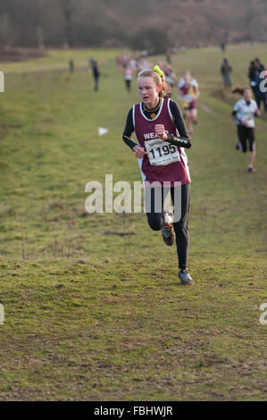 The Annual Knole Run Sevenoaks School cross country youth mile run in teams tough endurance race Stock Photo