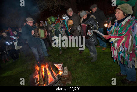 Essex, UK. 16th Jan, 2016. Wassailing for the first time in Clarence House conservation garden, Thaxted Essex, England. 16 January 2016 The orchard-visiting wassail refers to the ancient custom of visiting orchards in cider-producing regions of England, reciting incantations and singing to the trees to promote a good harvest for the coming year. Credit:  BRIAN HARRIS/Alamy Live News Stock Photo